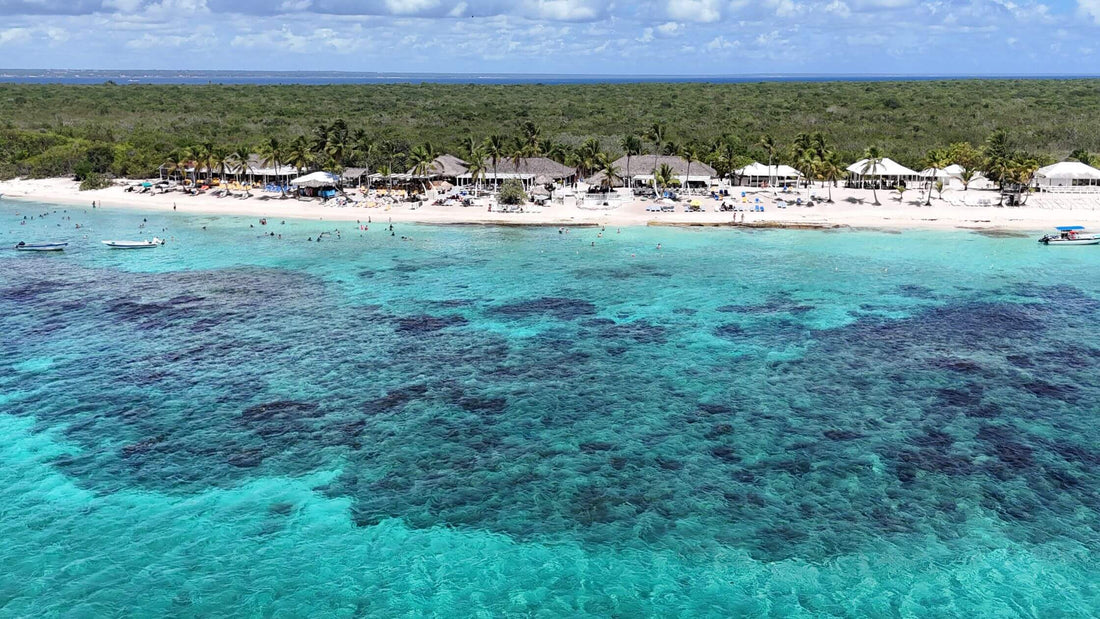 Playa de arena blanca en Isla Catalina República Dominicana