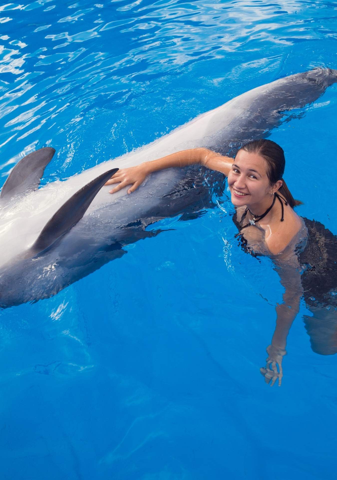 dolphin explorer republica dominicana chica nadando con delfines