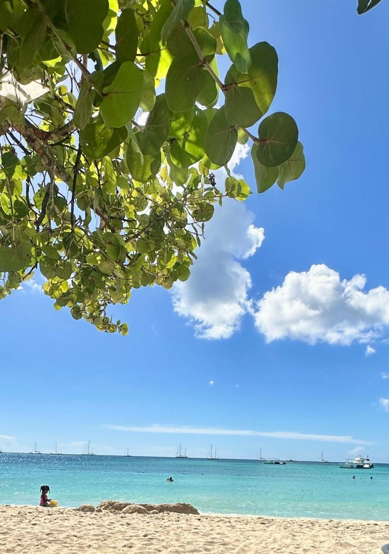 Esencia Bayahibe