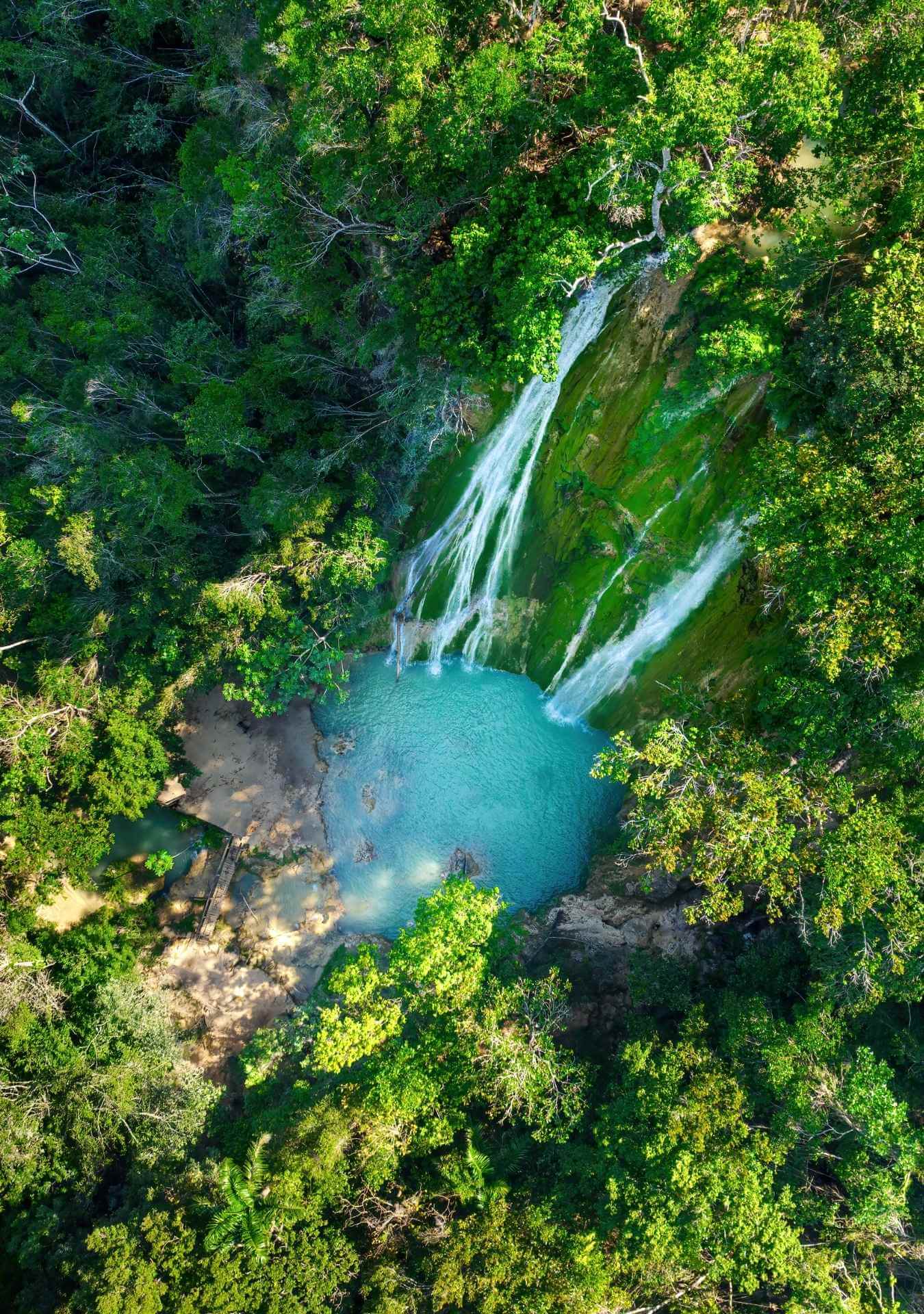 Explore Samaná (8 hours)