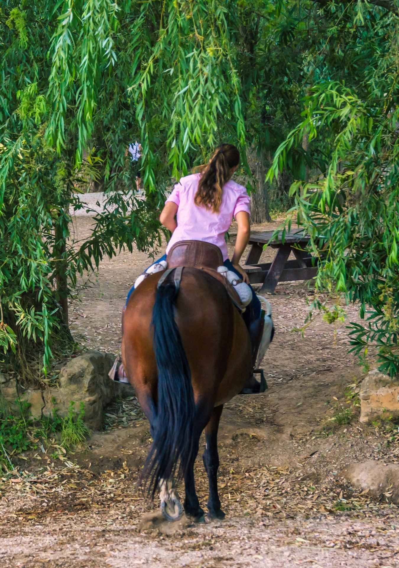 La Hacienda Park - Punta Cana Adventure Park 