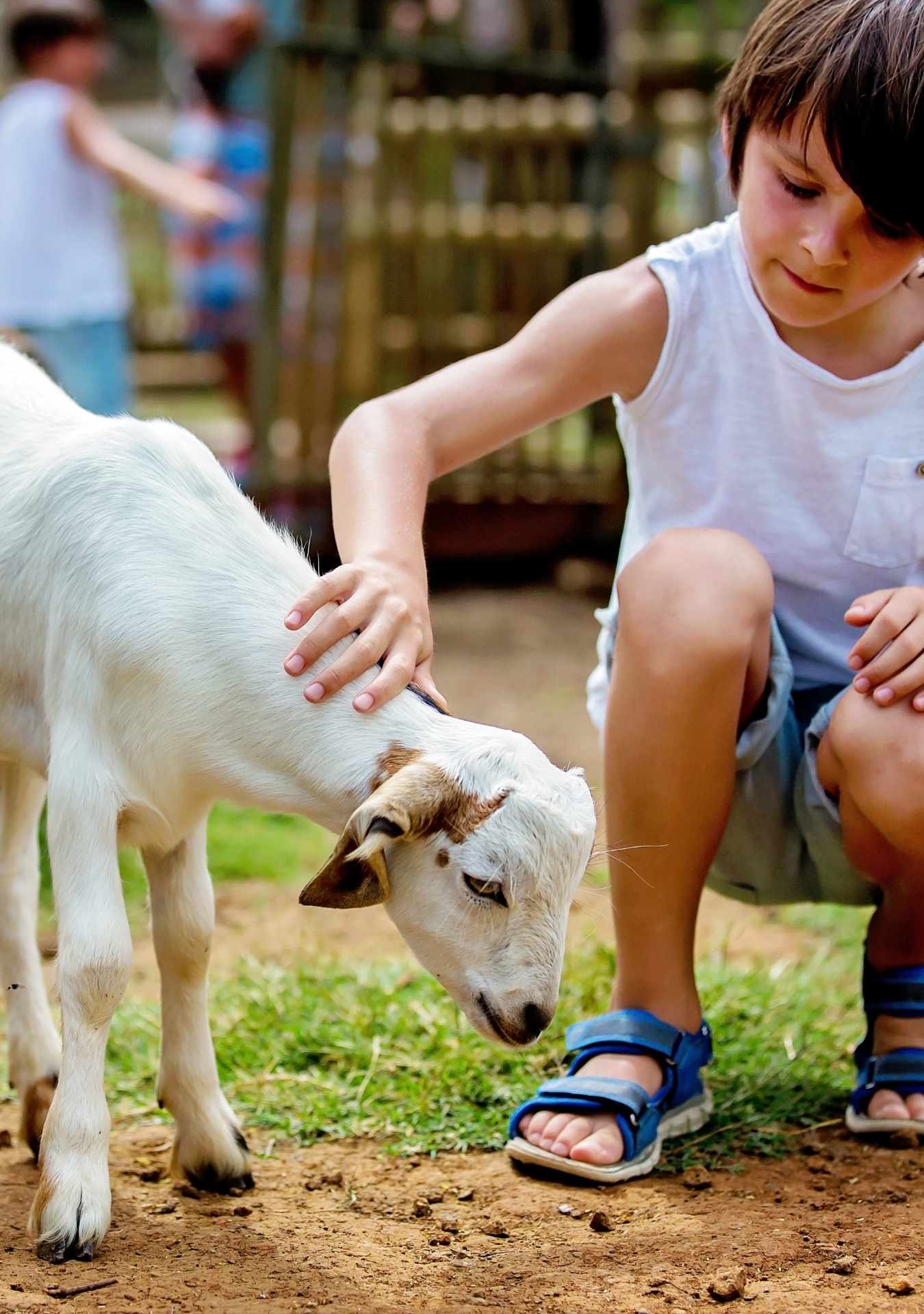 La Hacienda Park - Punta Cana Adventure Park 