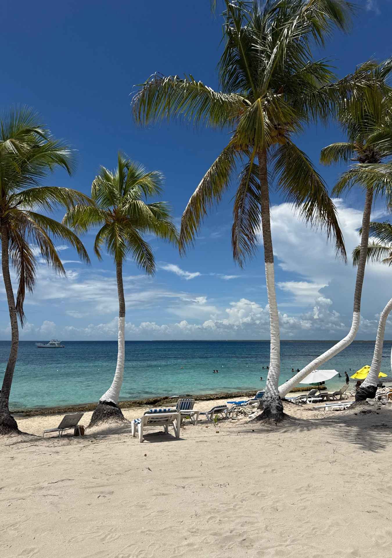 Catalina Island - Snorkeling