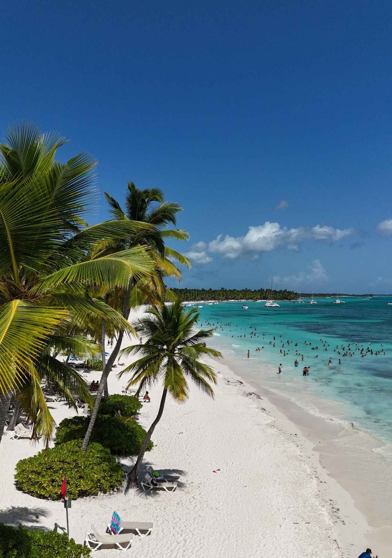 Saona Island (8 hours)