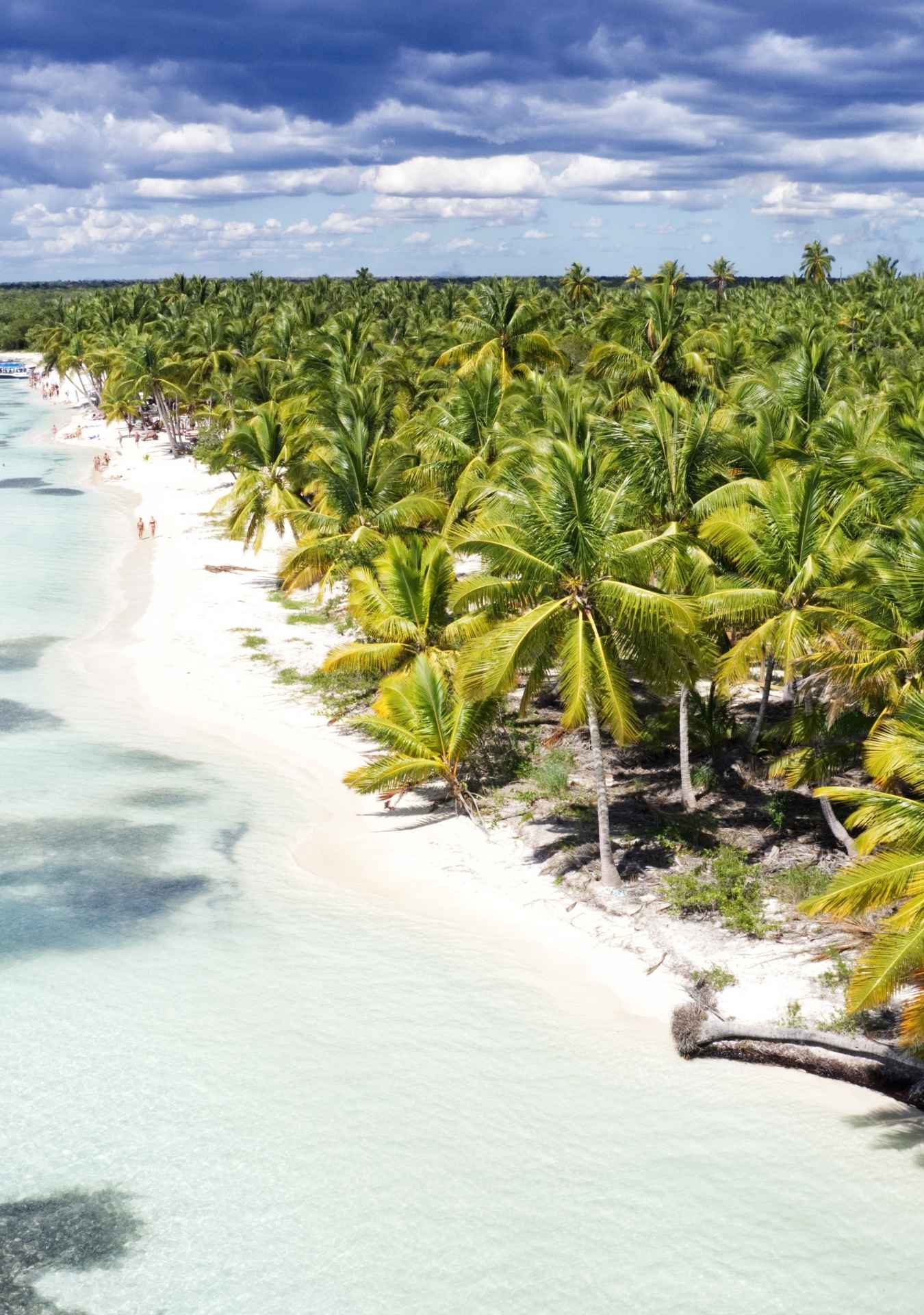 Saona Island (8 hours)