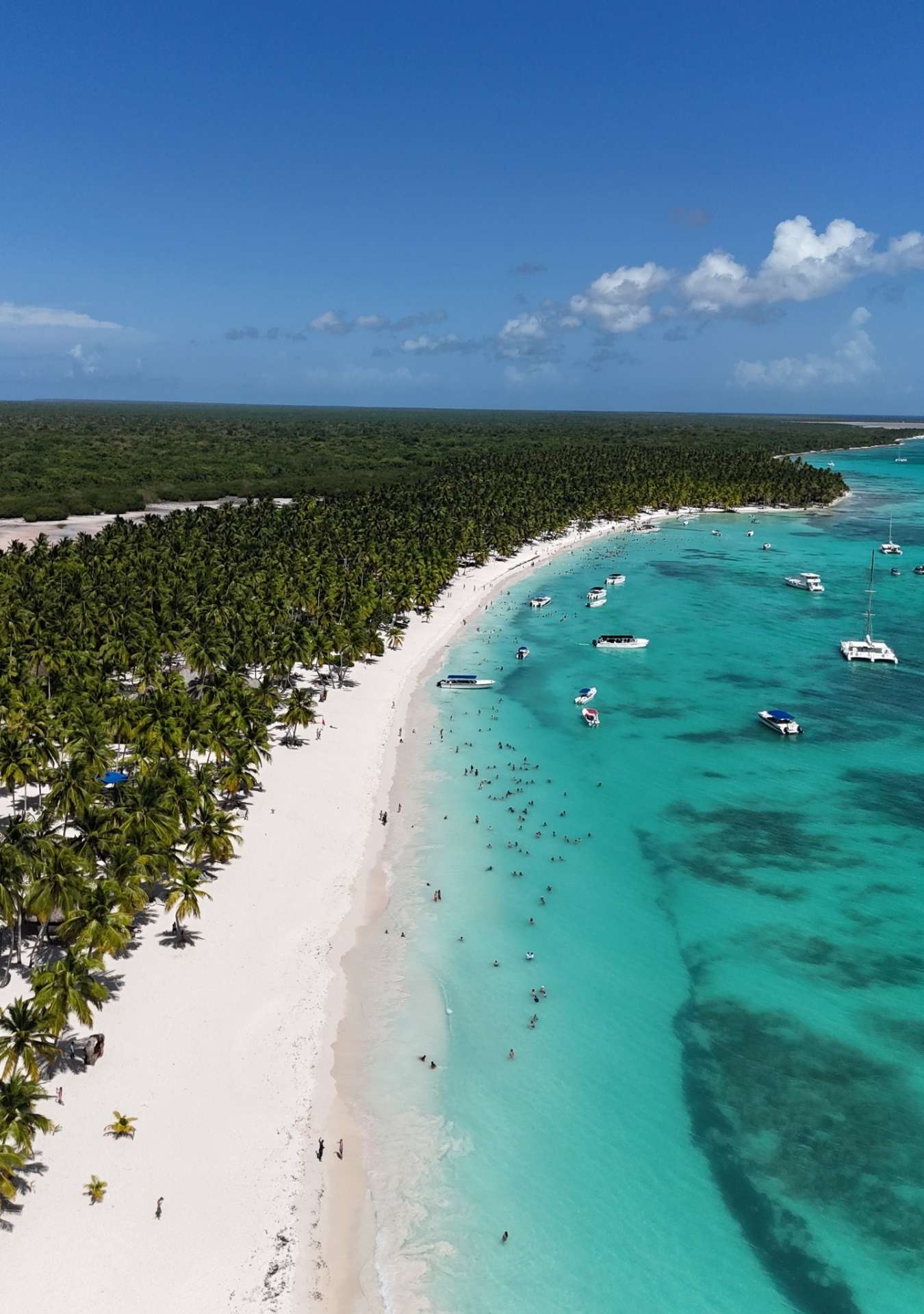 Saona Island (8 hours)