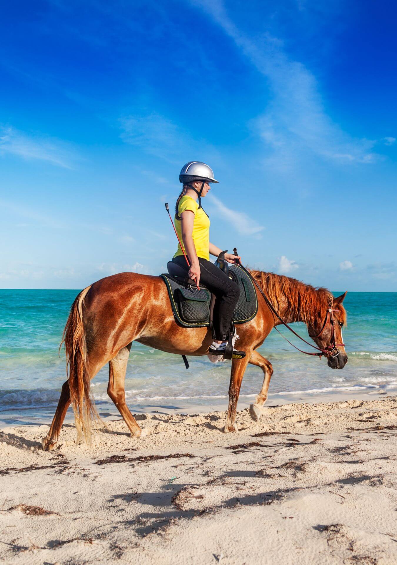 Horseback Riding - Macao Beach (2 hours)
