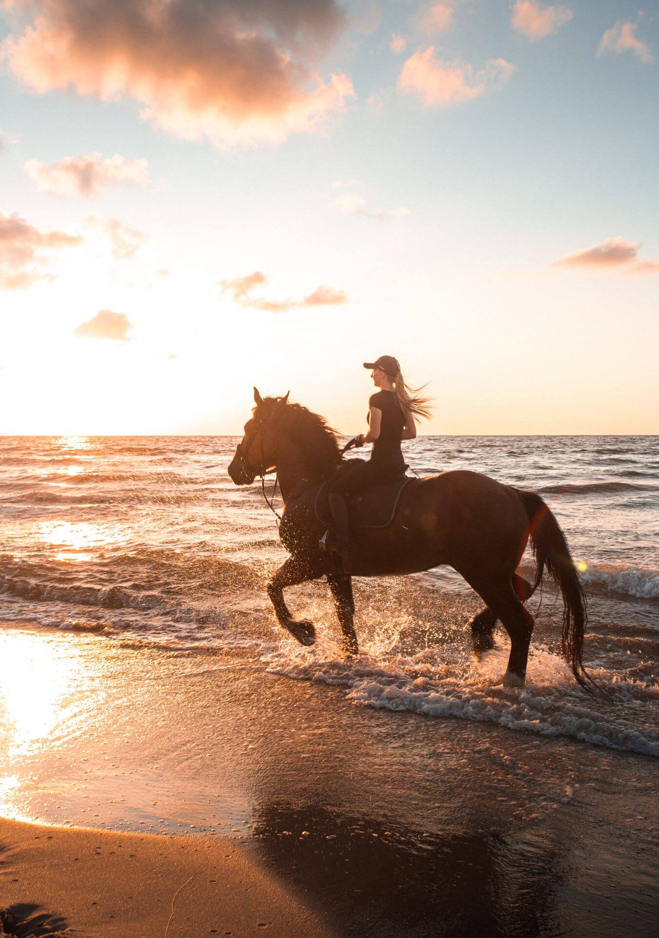 Horseback Riding - Macao Beach (2 hours)