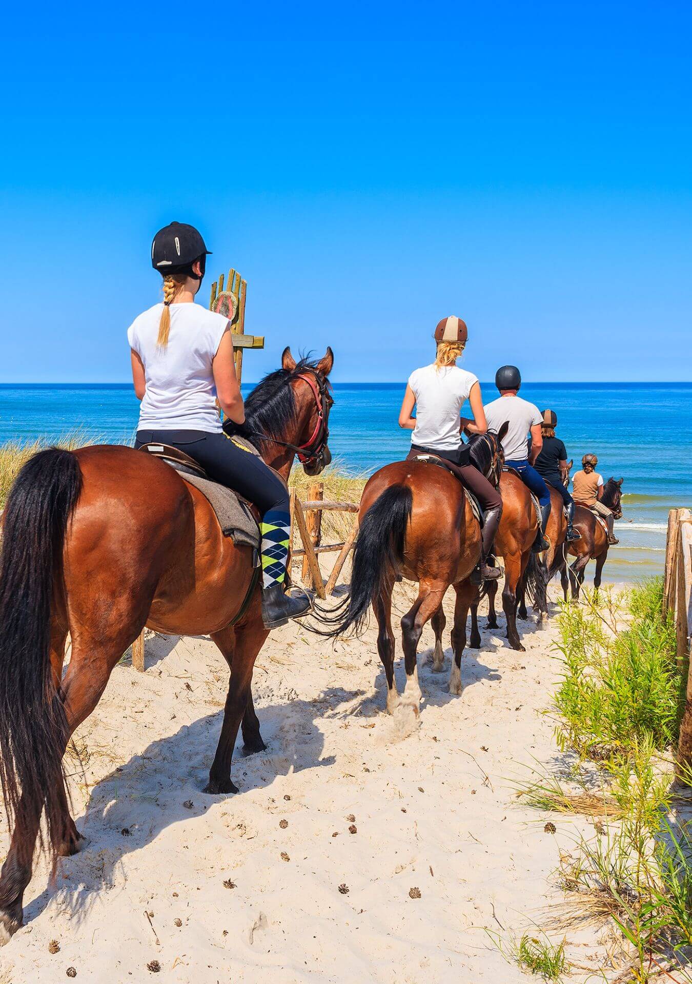 Horseback Riding - Macao Beach (2 hours)