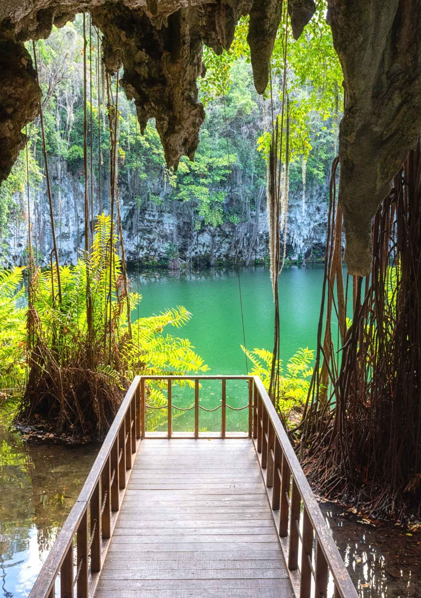 Santo Domingo Premium