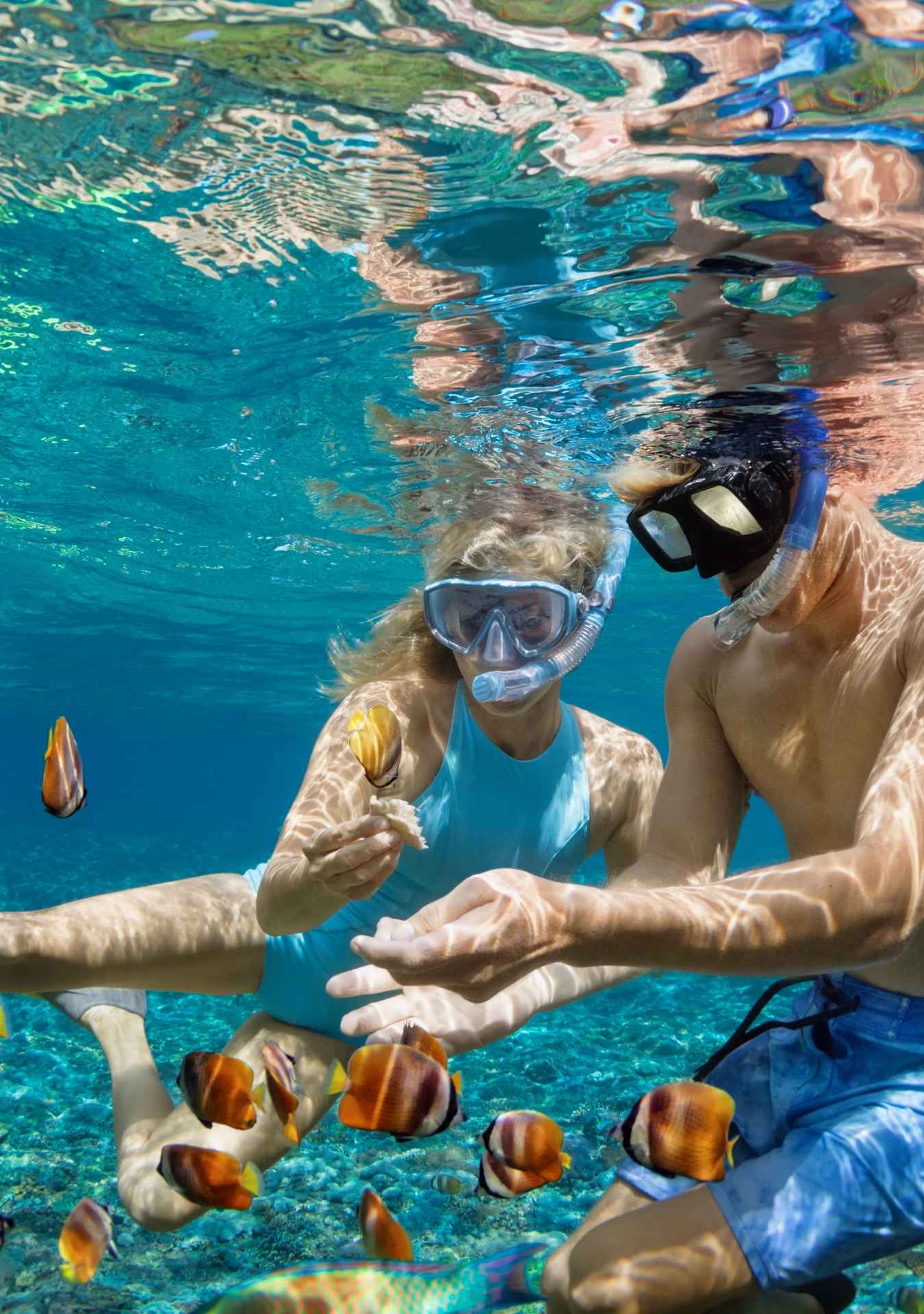 Double Speed ​​Boat (1-2 people) - Speedboat in Punta Cana